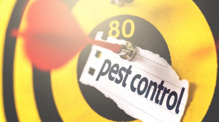 Professional rodent exclusion services in The Estates - Rodent Exclusion The Estates